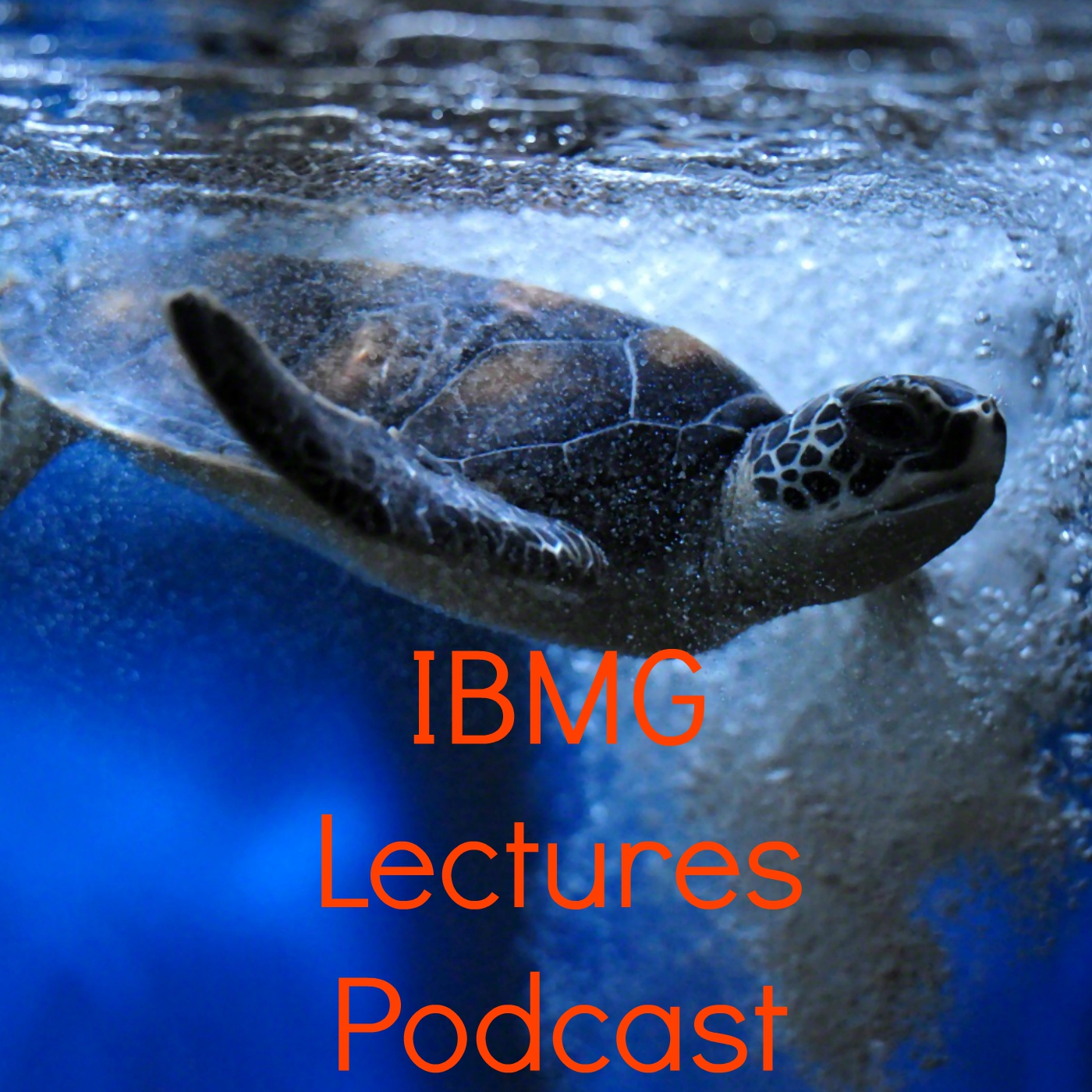 IBMG Lectures Podcast